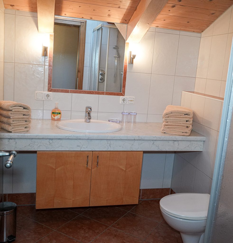 Bad Appartement Pinzgau